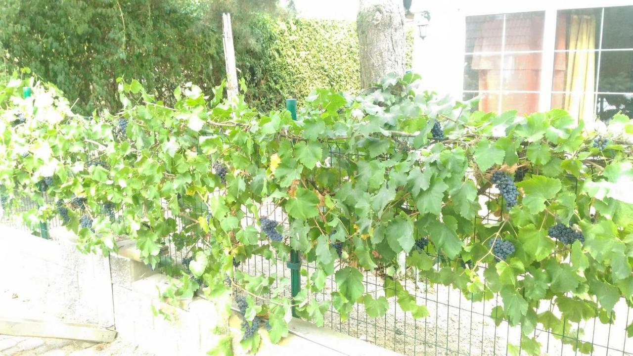 Suita U Toma Vestec  Luaran gambar